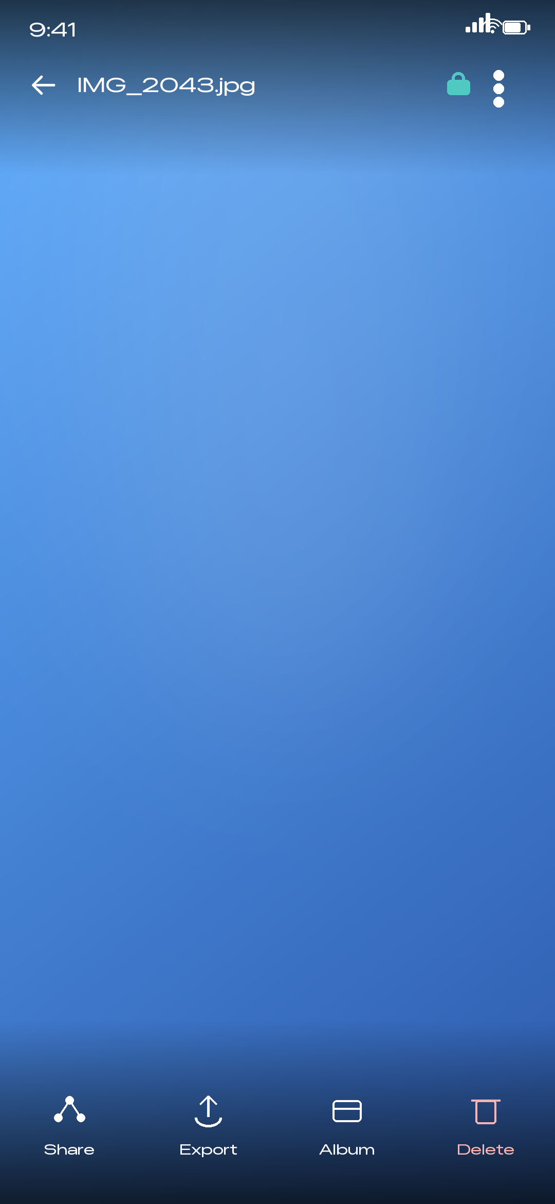 In-app viewer